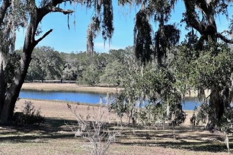 Terreno en venta en Dunnellon, Florida № 1512231 - foto 5