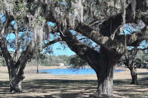 Terreno en venta en Dunnellon, Florida № 1512231 - foto 3
