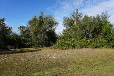 Land in Punta Gorda, Florida № 2165486