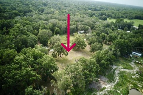 Terreno en venta en Auburndale, Florida № 1789213 - foto 2