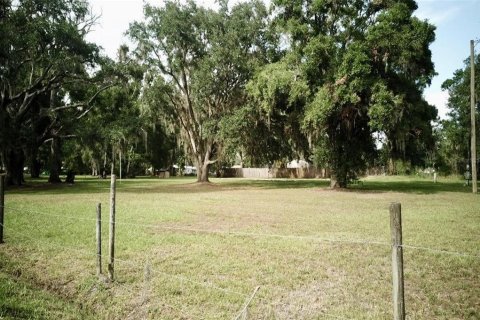 Terreno en venta en Auburndale, Florida № 1789213 - foto 9