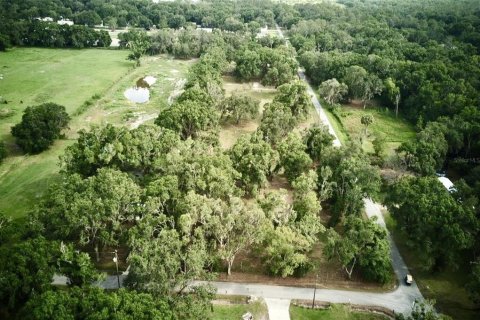 Terreno en venta en Auburndale, Florida № 1789213 - foto 17