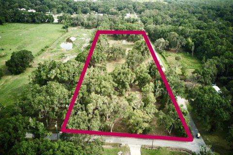 Terreno en venta en Auburndale, Florida № 1789213 - foto 1