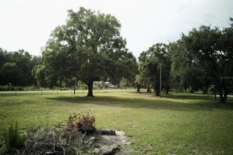 Terreno en venta en Auburndale, Florida № 1789213 - foto 11
