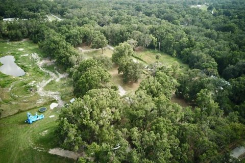 Terreno en venta en Auburndale, Florida № 1789213 - foto 20