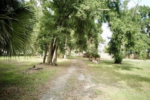 Terreno en venta en Auburndale, Florida № 1789213 - foto 8