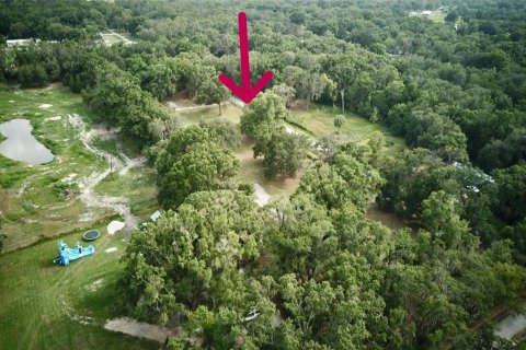 Terreno en venta en Auburndale, Florida № 1789213 - foto 21