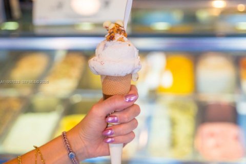 Commercial property in Weston, Florida № 2020874