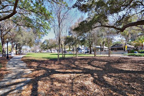 Appartement à louer à Clearwater, Floride: 1 chambre, 42.36 m2 № 1912411 - photo 24