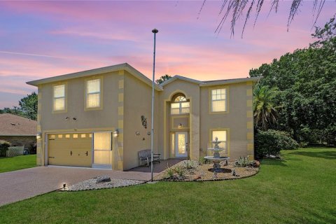 House in Palm Coast, Florida 4 bedrooms, 265.33 sq.m. № 1742636 - photo 1