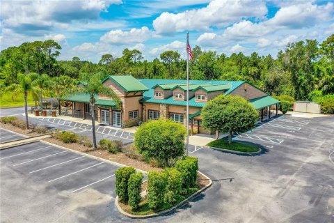 Propiedad comercial en alquiler en Edgewater, Florida, 779.54 m2 № 2106391 - foto 2