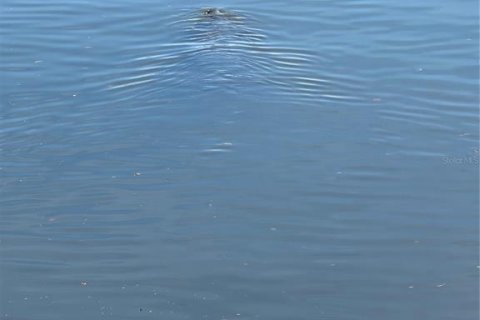 Land in Port Charlotte, Florida № 2162521 - photo 18