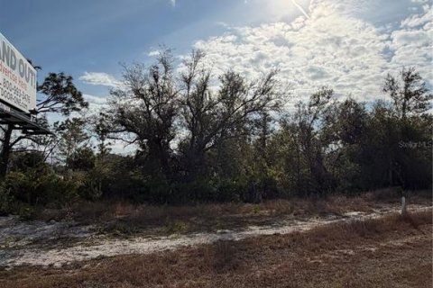 Land in Port Charlotte, Florida № 2162521 - photo 4