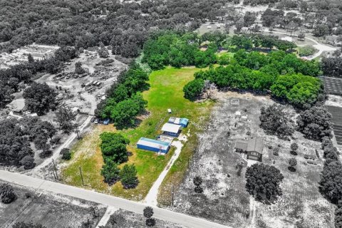 Terrain à Mount Dora, Floride № 2318819