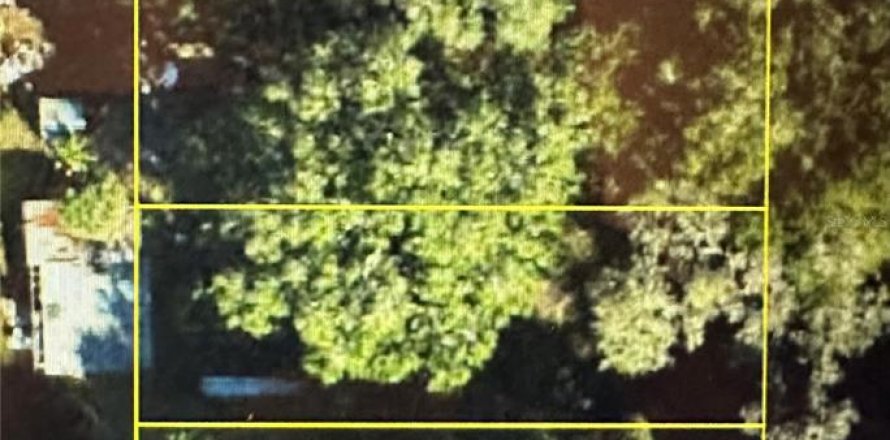 Land in Lake Panasoffkee, Florida № 2159794