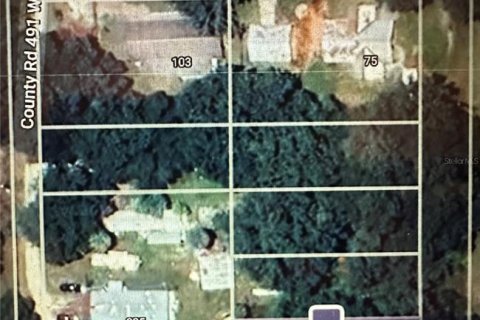 Land in Lake Panasoffkee, Florida № 2159794 - photo 4