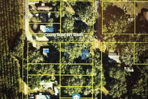 Land in Lake Panasoffkee, Florida № 2159794 - photo 5