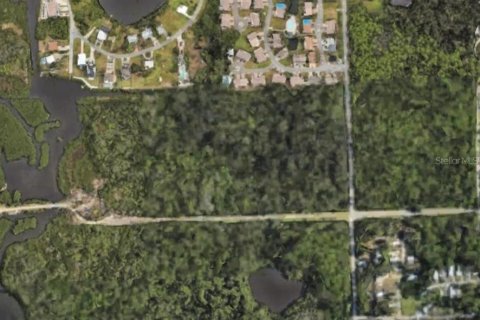 Land in Port Richey, Florida № 1735097 - photo 3
