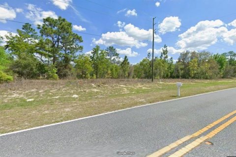 Terreno en Citrus Springs, Florida № 2197874