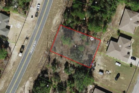 Land in Citrus Springs, Florida № 2197874 - photo 5