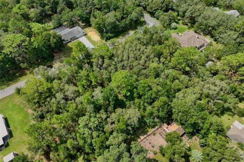 Купить земельный участок в Инвернесс, Флорида № 1915125 - фото 10