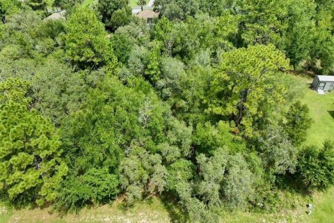 Купить земельный участок в Инвернесс, Флорида № 1915125 - фото 9