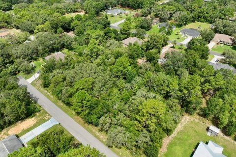 Купить земельный участок в Инвернесс, Флорида № 1915125 - фото 3