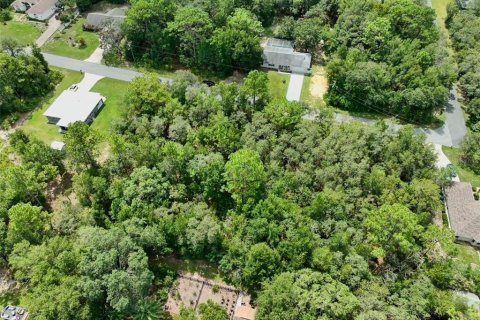 Купить земельный участок в Инвернесс, Флорида № 1915125 - фото 2