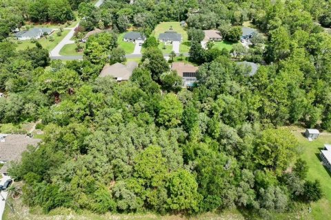 Купить земельный участок в Инвернесс, Флорида № 1915125 - фото 7