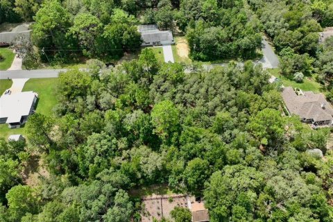 Купить земельный участок в Инвернесс, Флорида № 1915125 - фото 4