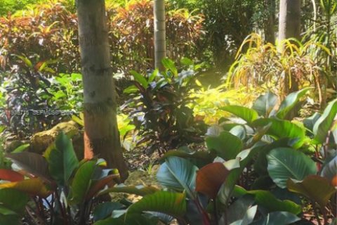 Купить кондоминиум в Форт-Лодердейл, Флорида 1 спальня, 54.35м2, № 1997040 - фото 8