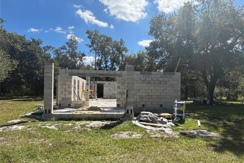 Terreno en venta en Lakeland, Florida № 2234937 - foto 8