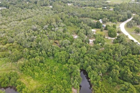 Terreno en venta en Lakeland, Florida № 2234937 - foto 13