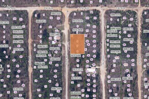 Land in Interlachen, Florida № 2164366 - photo 3
