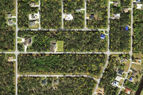 Land in Port Charlotte, Florida № 2225103 - photo 2