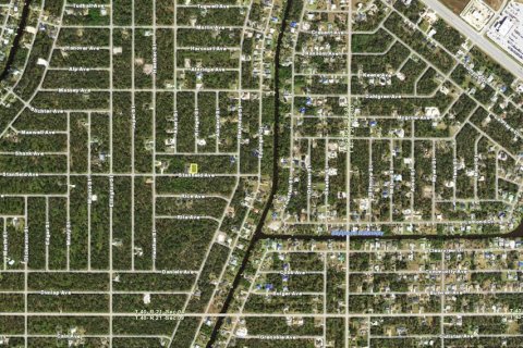 Land in Port Charlotte, Florida № 2225103 - photo 3