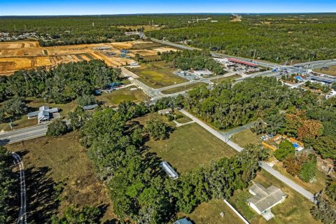 Land in Lecanto, Florida № 2104416 - photo 12