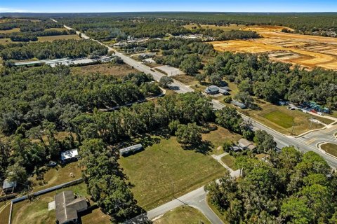Land in Lecanto, Florida № 2104416 - photo 9