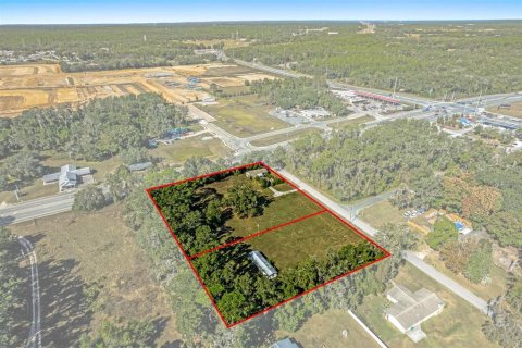 Land in Lecanto, Florida № 2104416 - photo 3