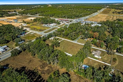 Land in Lecanto, Florida № 2104416 - photo 13