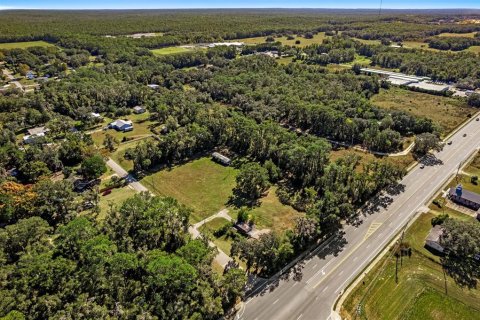 Land in Lecanto, Florida № 2104416 - photo 7