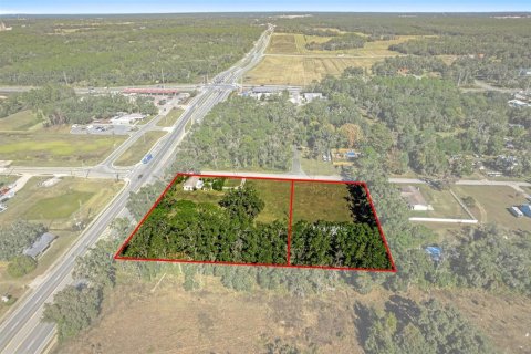Land in Lecanto, Florida № 2104416 - photo 4
