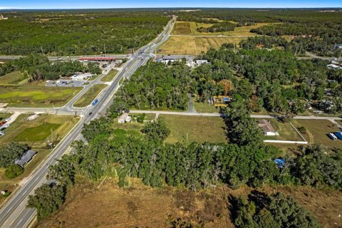 Land in Lecanto, Florida № 2104416 - photo 14