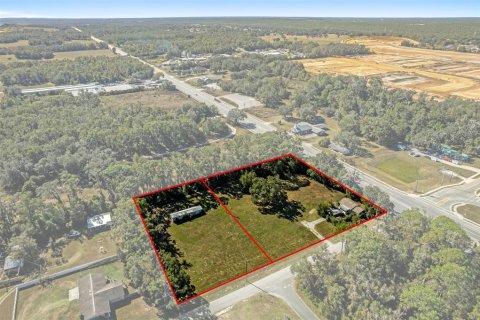 Land in Lecanto, Florida № 2104416 - photo 2