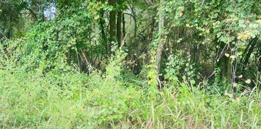 Land in Ocala, Florida № 2164216