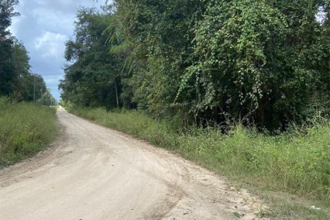 Land in Ocala, Florida № 2164216 - photo 3