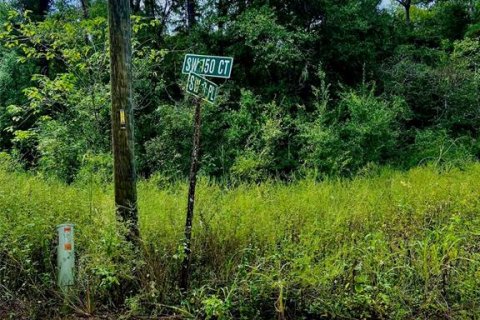 Land in Ocala, Florida № 2164216 - photo 4