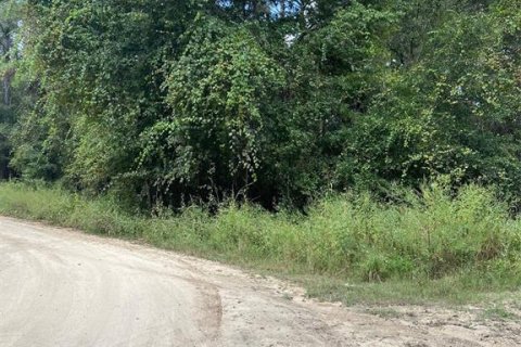 Land in Ocala, Florida № 2164216 - photo 2