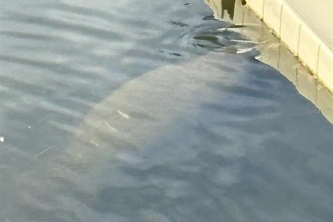 Casa en alquiler en Hudson, Florida, 3 dormitorios, 182.46 m2 № 1916407 - foto 28