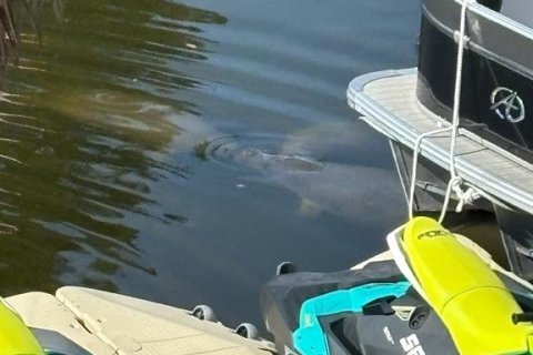 Casa en alquiler en Hudson, Florida, 3 dormitorios, 182.46 m2 № 1916407 - foto 27